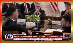 2025-08-18 at 8.19.24.jpeg